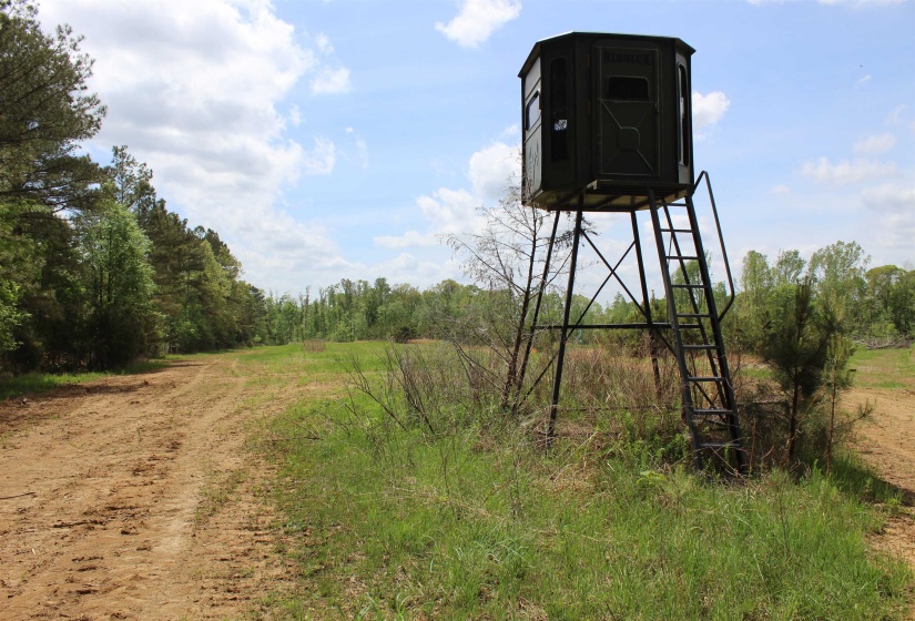 000 RIVERSIDE DR, Jackson, Tennessee 38301, ,Land,For Sale,RIVERSIDE,10220128