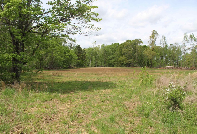 000 RIVERSIDE DR, Jackson, Tennessee 38301, ,Land,For Sale,RIVERSIDE,10220128
