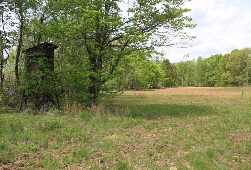 000 RIVERSIDE DR, Jackson, Tennessee 38301, ,Land,For Sale,RIVERSIDE,10220128