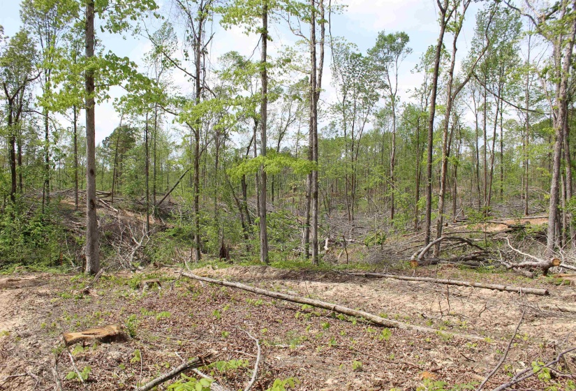 000 RIVERSIDE DR, Jackson, Tennessee 38301, ,Land,For Sale,RIVERSIDE,10220128