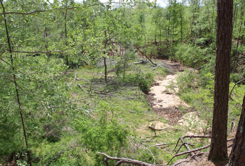 000 RIVERSIDE DR, Jackson, Tennessee 38301, ,Land,For Sale,RIVERSIDE,10220128