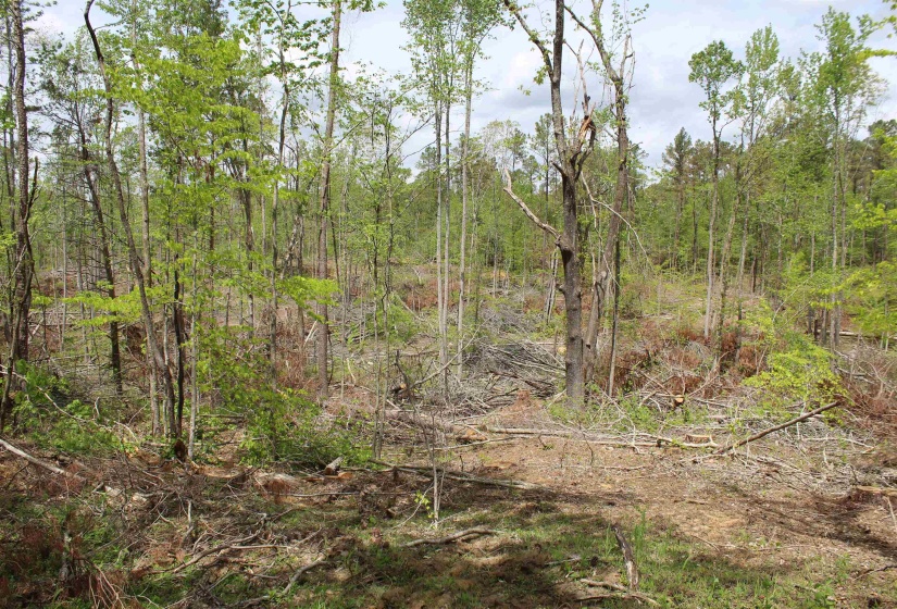 000 RIVERSIDE DR, Jackson, Tennessee 38301, ,Land,For Sale,RIVERSIDE,10220128