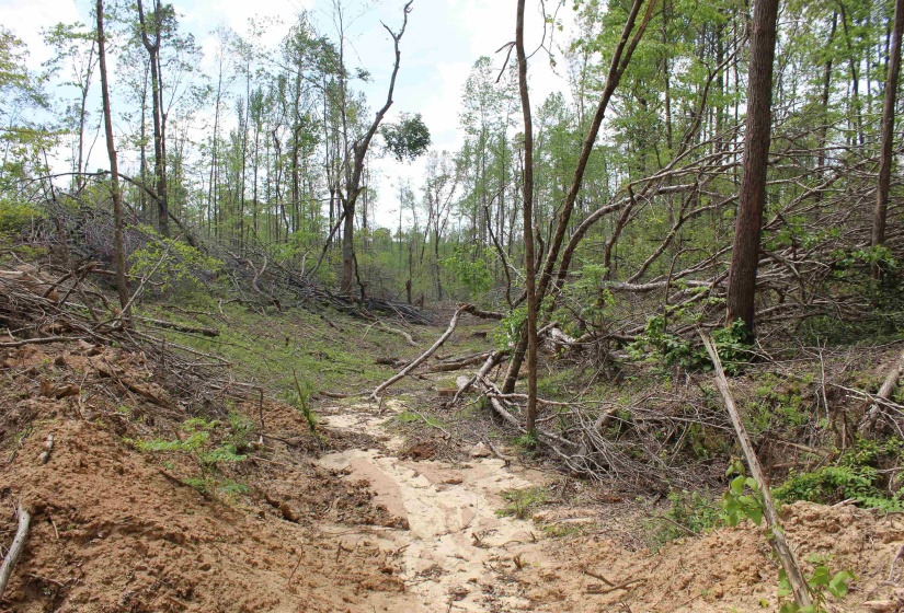 000 RIVERSIDE DR, Jackson, Tennessee 38301, ,Land,For Sale,RIVERSIDE,10220128