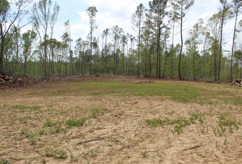 000 RIVERSIDE DR, Jackson, Tennessee 38301, ,Land,For Sale,RIVERSIDE,10220128