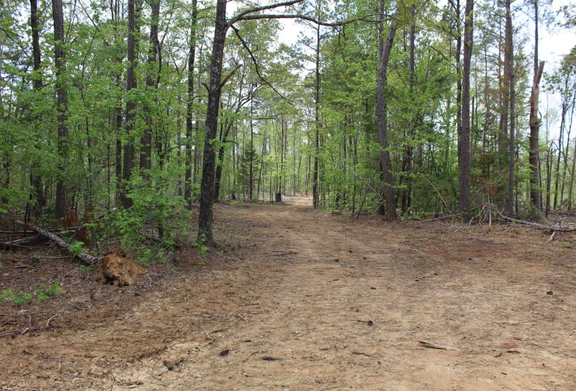 000 RIVERSIDE DR, Jackson, Tennessee 38301, ,Land,For Sale,RIVERSIDE,10220128