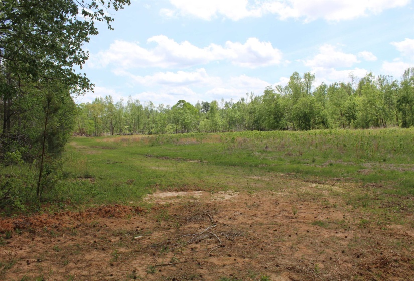 000 RIVERSIDE DR, Jackson, Tennessee 38301, ,Land,For Sale,RIVERSIDE,10220128