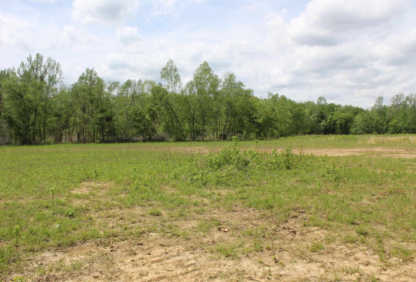 000 RIVERSIDE DR, Jackson, Tennessee 38301, ,Land,For Sale,RIVERSIDE,10220128