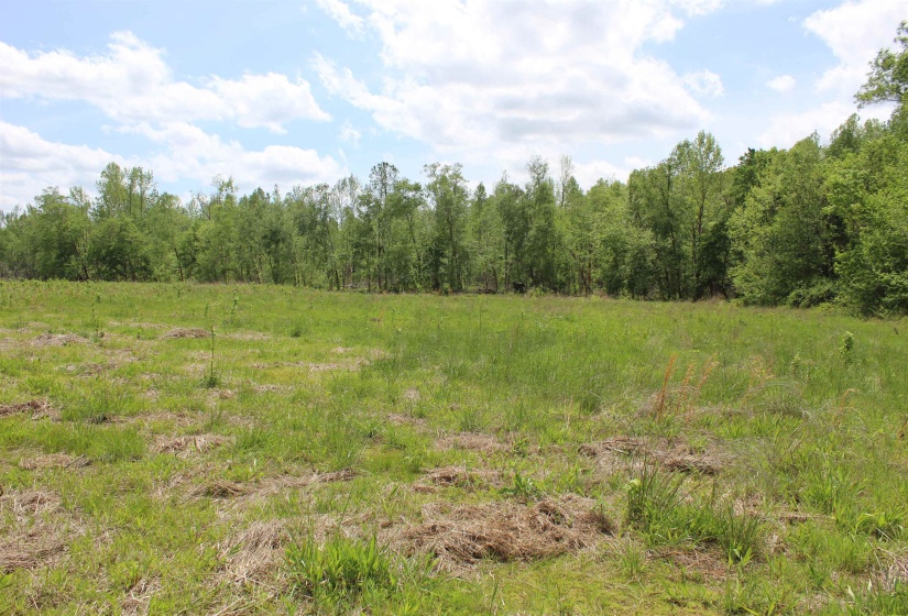 000 RIVERSIDE DR, Jackson, Tennessee 38301, ,Land,For Sale,RIVERSIDE,10220128