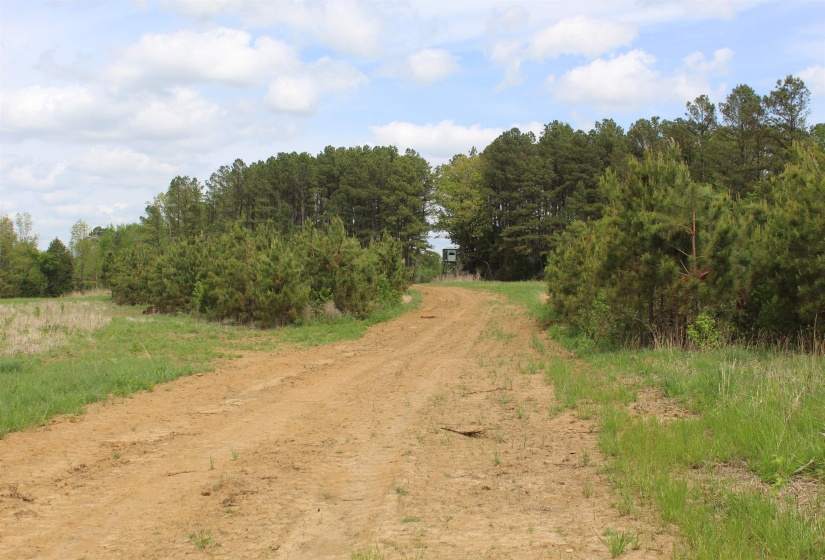 000 RIVERSIDE DR, Jackson, Tennessee 38301, ,Land,For Sale,RIVERSIDE,10220128