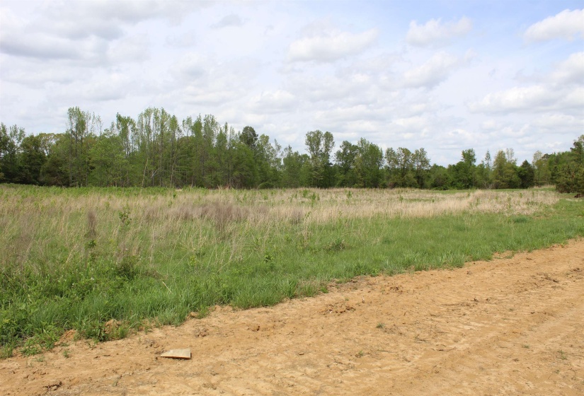 000 RIVERSIDE DR, Jackson, Tennessee 38301, ,Land,For Sale,RIVERSIDE,10220128