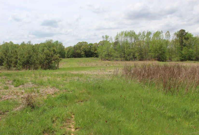 000 RIVERSIDE DR, Jackson, Tennessee 38301, ,Land,For Sale,RIVERSIDE,10220128