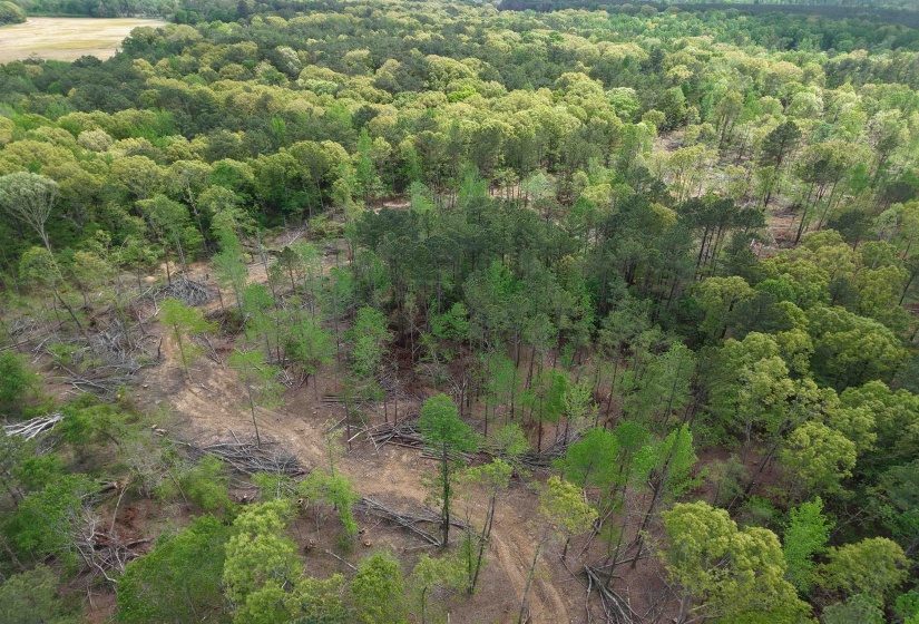 000 RIVERSIDE DR, Jackson, Tennessee 38301, ,Land,For Sale,RIVERSIDE,10220128