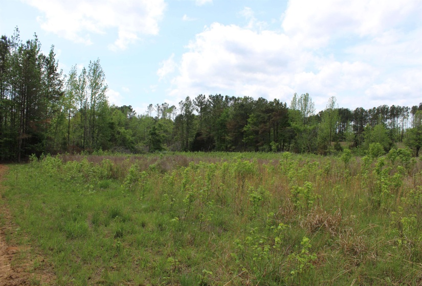 000 RIVERSIDE DR, Jackson, Tennessee 38301, ,Land,For Sale,RIVERSIDE,10220128
