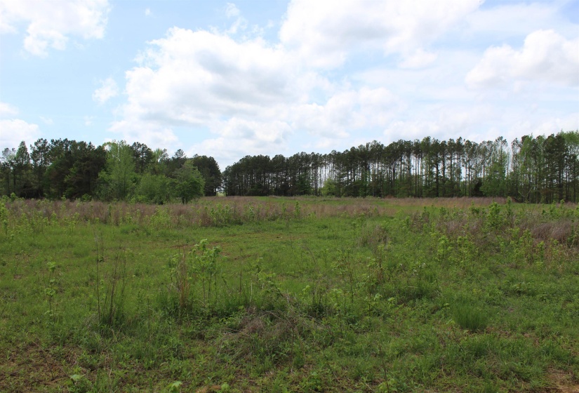 000 RIVERSIDE DR, Jackson, Tennessee 38301, ,Land,For Sale,RIVERSIDE,10220128