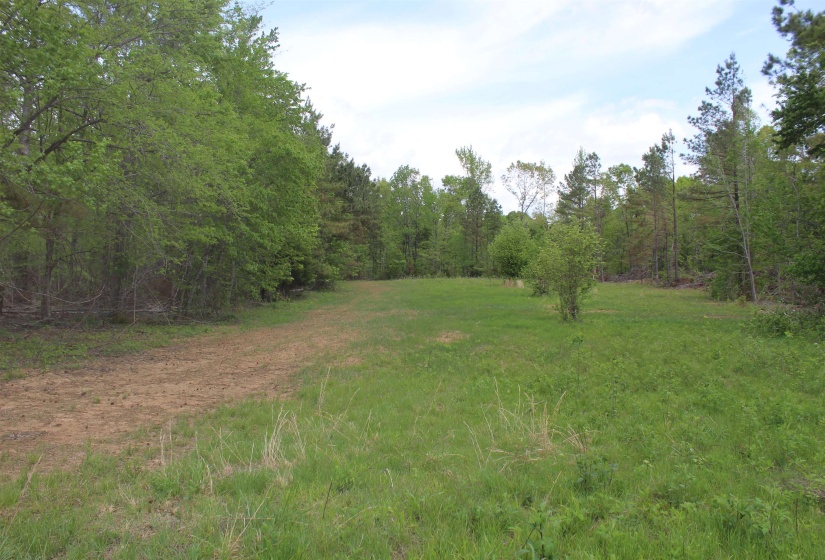 000 RIVERSIDE DR, Jackson, Tennessee 38301, ,Land,For Sale,RIVERSIDE,10220128