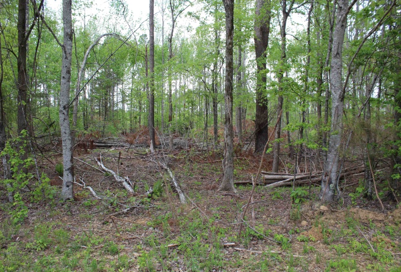 000 RIVERSIDE DR, Jackson, Tennessee 38301, ,Land,For Sale,RIVERSIDE,10220128