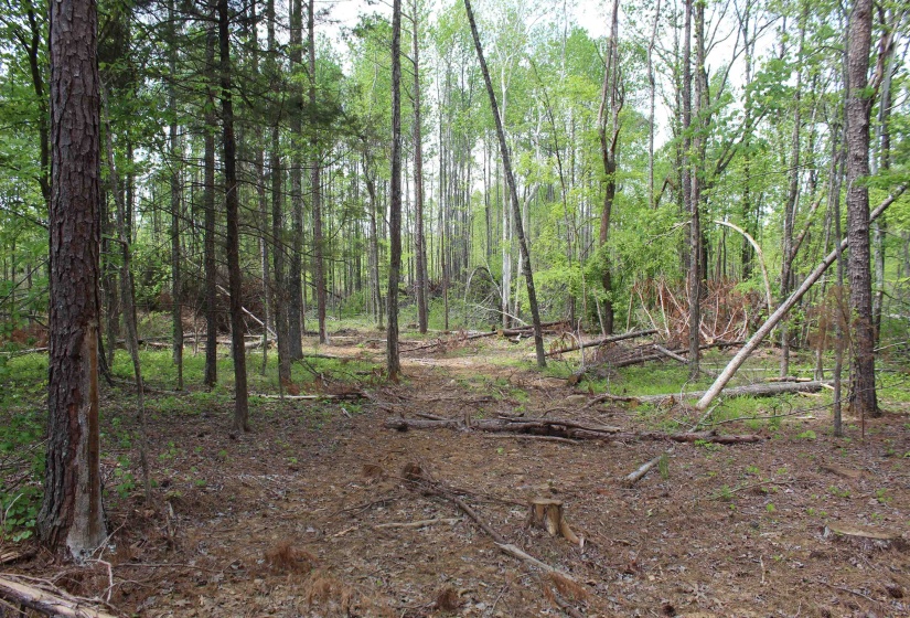 000 RIVERSIDE DR, Jackson, Tennessee 38301, ,Land,For Sale,RIVERSIDE,10220128