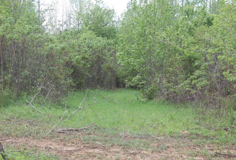 000 RIVERSIDE DR, Jackson, Tennessee 38301, ,Land,For Sale,RIVERSIDE,10220128