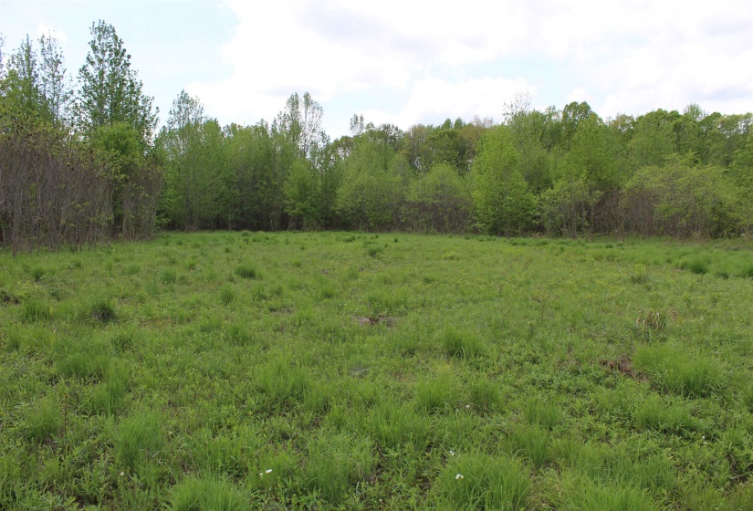 000 RIVERSIDE DR, Jackson, Tennessee 38301, ,Land,For Sale,RIVERSIDE,10220128