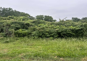 635 PURDY RD, Selmer, Tennessee 38375-1838, ,Land,For Sale,PURDY,10220138 635 PURDY RD, Selmer, Tennessee 38375-1838, ,Land,For Sale,PURDY,10220138