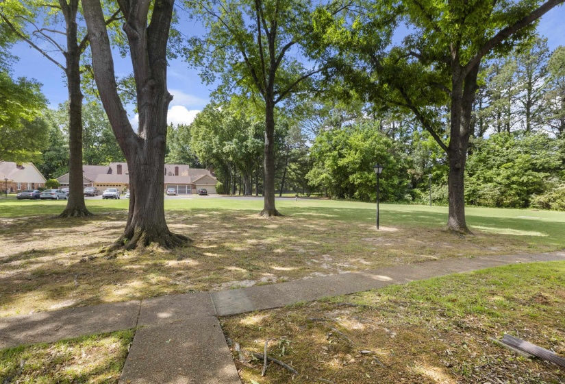 Expansive green space featuring mature trees, a lamppost, and a concrete pathway