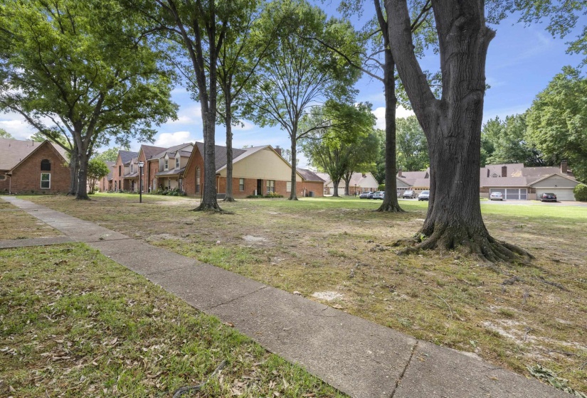 Spacious open green area featuring mature trees and a concrete pathway