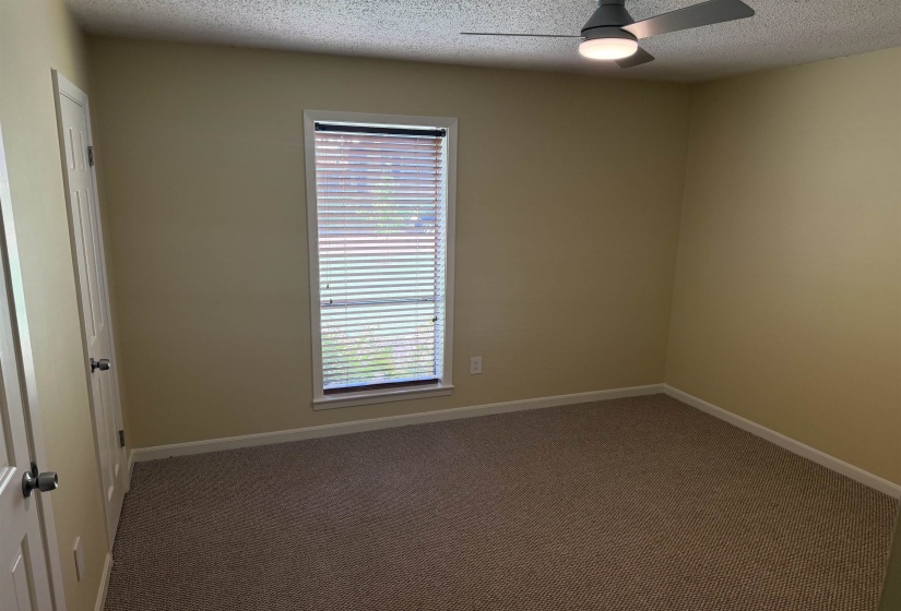 Neutral-toned carpeting paired with light-colored walls
