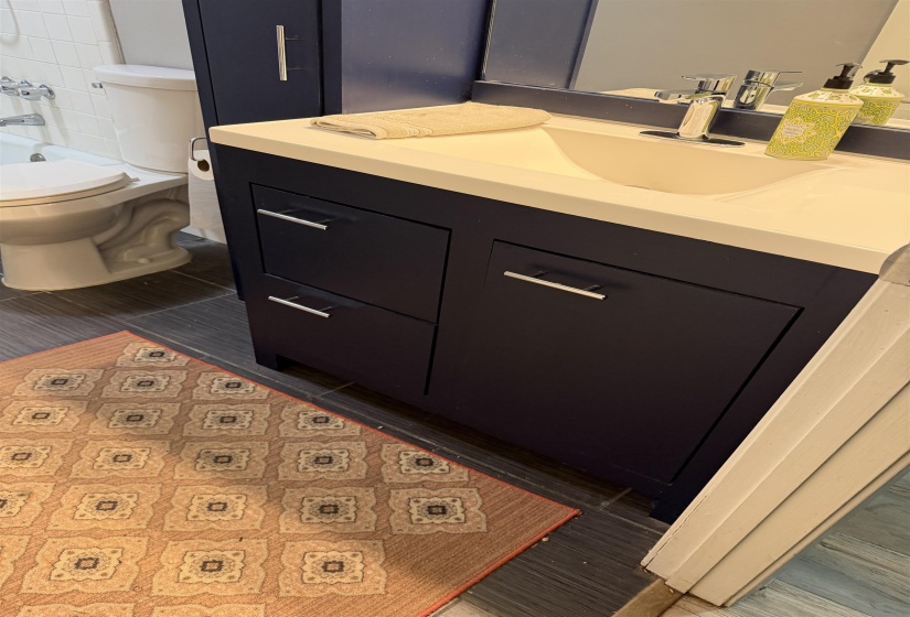 Bathroom featuring vanity and dark wood-type flooring