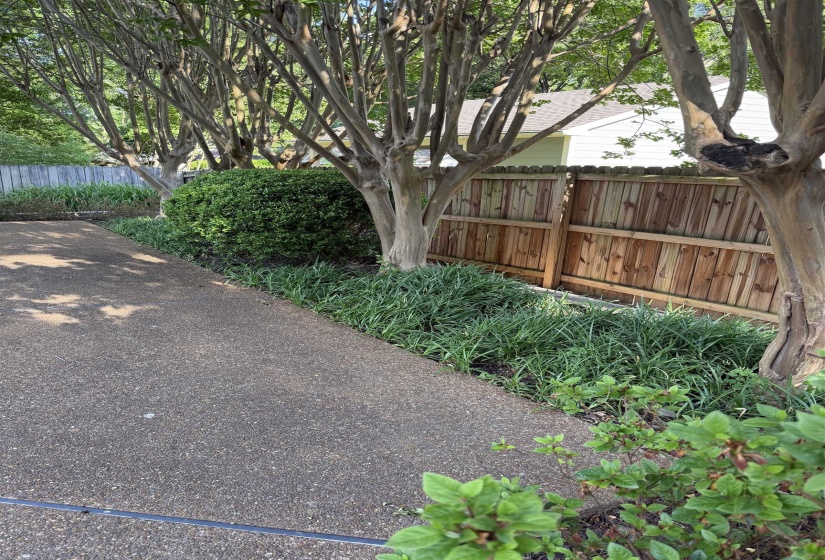 Exposed aggregate pathway bordered by mature trees and lush groundcover