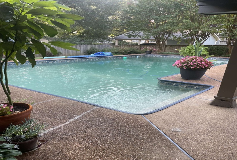 View of swimming pool with a fenced backyard and patio surround