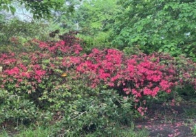 232 HIGHLAND ST, Memphis, Tennessee 38111, 1 Bedroom Bedrooms, 3 Rooms Rooms,1 BathroomBathrooms,Residential,For Sale,HIGHLAND,10220152