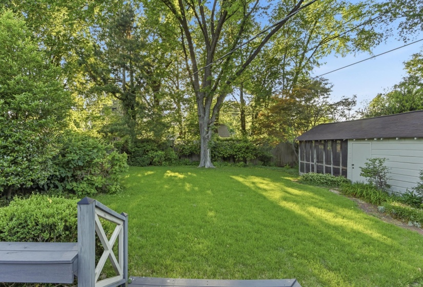Expansive green lawn framed by mature trees
