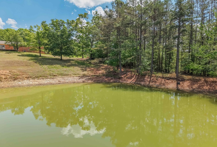 Private pond featuring a natural shoreline, mature trees, and an expansive grassy bank