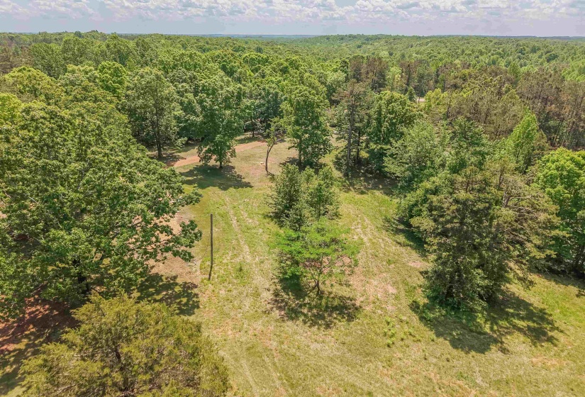 Expansive wooded acreage featuring mature trees and clearings