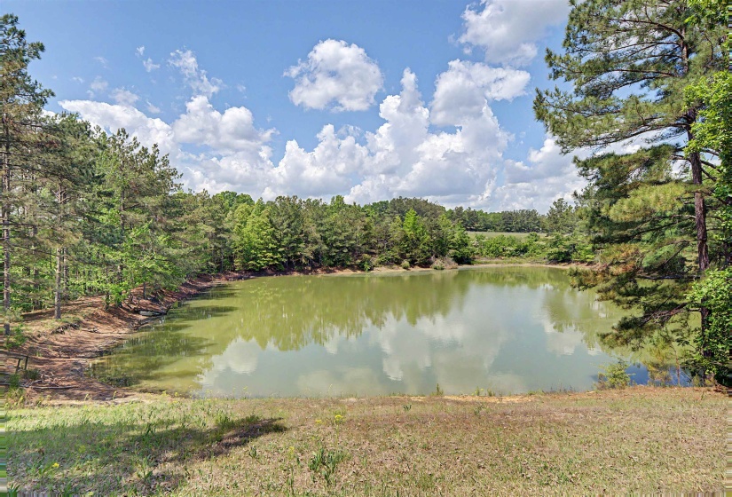 Expansive pond surrounded by mature deciduous and evergreen trees, with a grassy foreground under a clear sky with scattered clouds