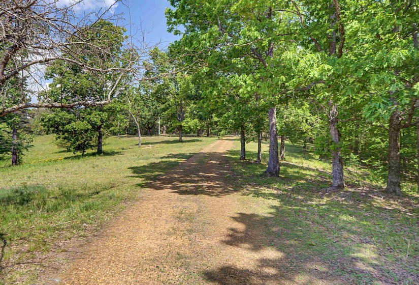 Gravel path surrounded by mature trees and natural landscaping