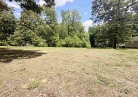 15 PINE ST, Adamsville, Tennessee 38310, ,Land,For Sale,PINE,10220202