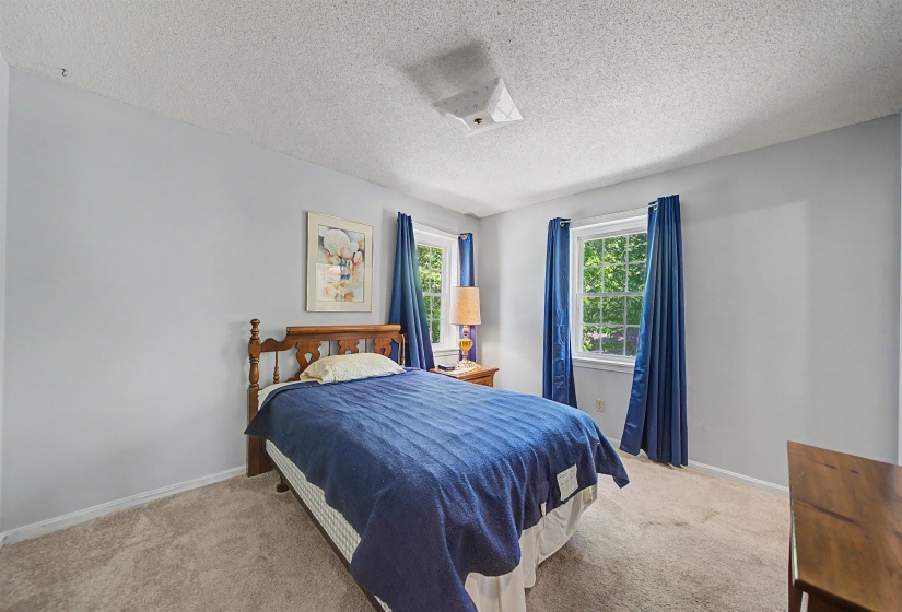 Carpeted room featuring light gray walls, two windows with white trim, and a textured ceiling