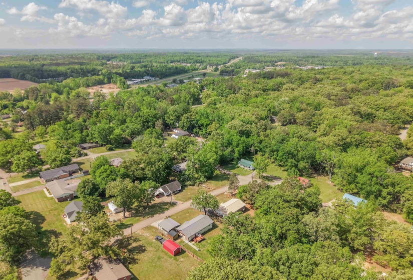 Expansive aerial panorama showcasing a verdant landscape with mature trees and residential properties