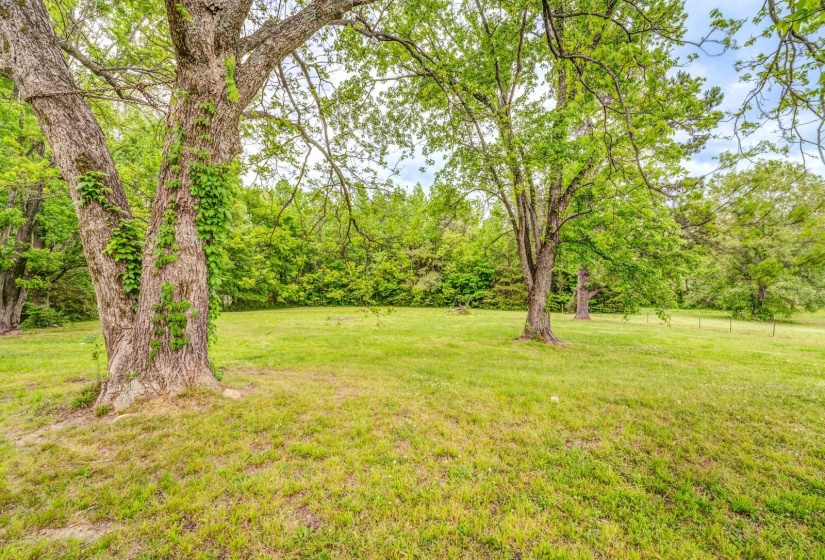 Expansive grassy area featuring mature trees and a backdrop of dense foliage