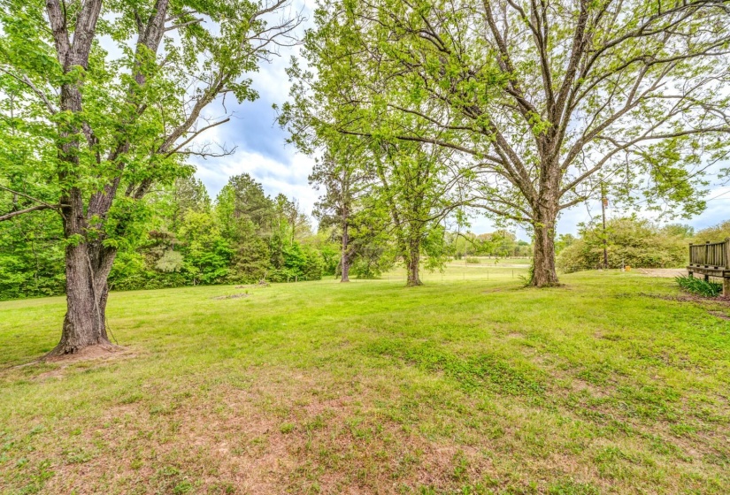Expansive lawn area featuring mature trees and a wooded backdrop