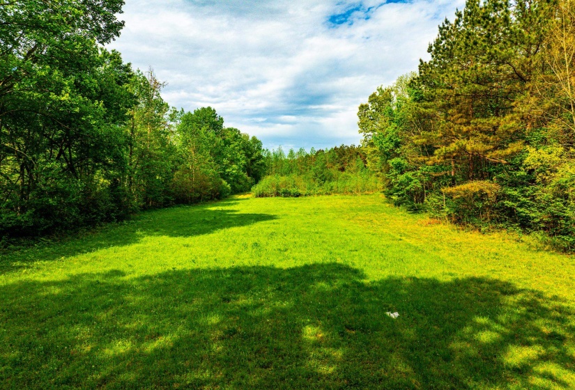 Expansive green field surrounded by mature deciduous and evergreen trees, featuring natural light and tree-line privacy