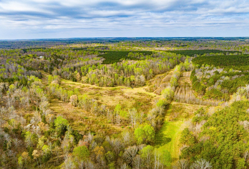 Expansive wooded acreage featuring varied tree lines and open clearings