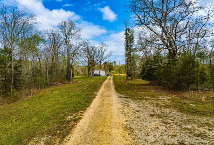 Gravel drive extending through a natural landscape of mature trees and established greenery