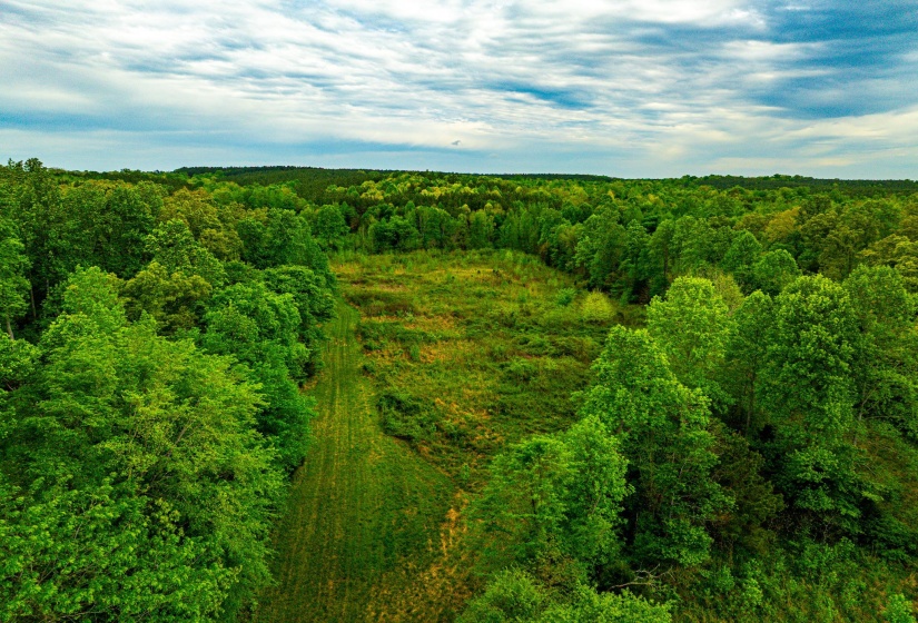 Wooded acreage featuring a cleared grassy expanse