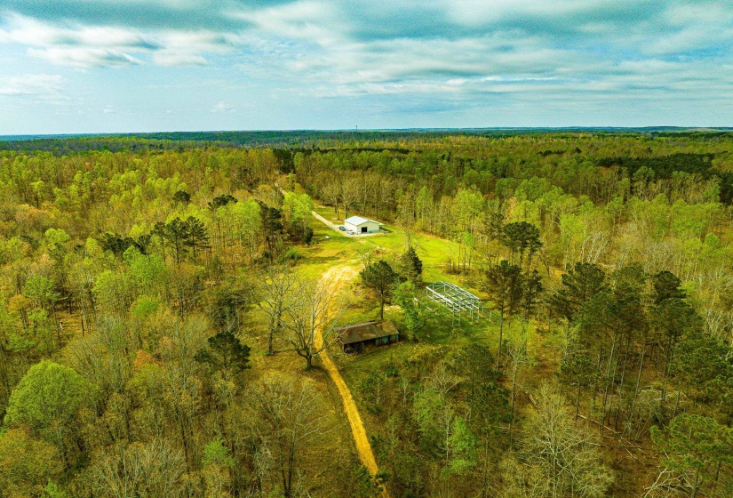 Expansive wooded acreage featuring a cleared building site, a barn structure, a secondary structure, and a dirt road entrance