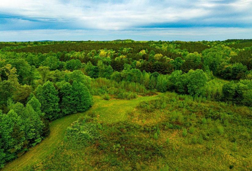 Expansive green landscape featuring varied terrain and extensive tree coverage