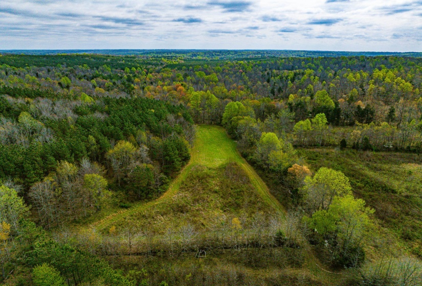 Expansive parcel featuring a mix of mature deciduous and evergreen trees