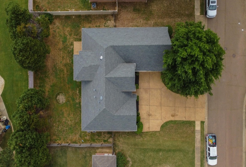 Single-story residence featuring an asphalt shingle roof, a concrete driveway, and a mature shade tree