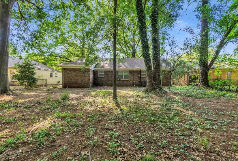 Expansive rear yard featuring mature trees and a partial brick exterior